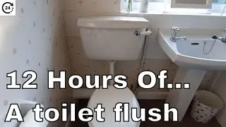 A 12 Hour Toilet Flush - flushing and filling with water sounds (ASMR)