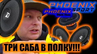 Новинки Phoenix Sport 300x2 + Phoenix Black Bass 69 в полку 