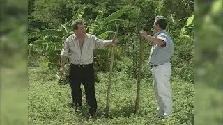 ALDO PEÑA - PLANTO LA PALA COMPADRE