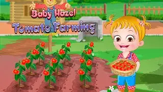 Baby Hazel Tomato Farming - Hazel Baby Games To Play - Kids Movies