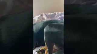 Как думаете Сева с Сёмой меня простят ?🤣