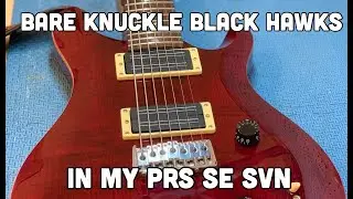 Bare Knuckle Black Hawks in my PRS SE SVN
