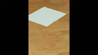 просто лист бумаги на полу. Но кошка не может удержаться, чтобы не лечь на него…😍