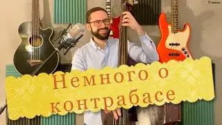 Немного о контрабасе (история, конструкция, постановка)
