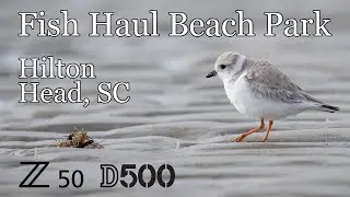 Fish Haul Beach Park • Hilton Head • Z50 D500