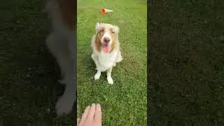 типа умная🤣 