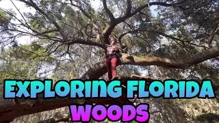 Exploring Florida woods!!