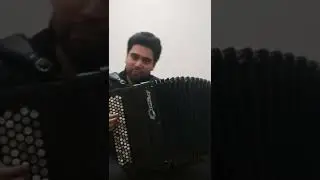 Шопен на баяне