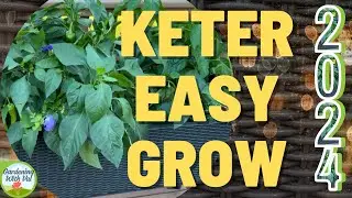 Upkeep and plans for my Keter easy grow in 2024
