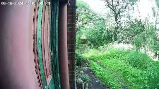 shitty kids try to smash window and brwka down door