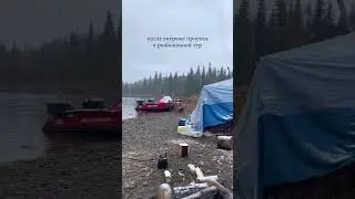 24 января 2024 г.