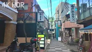 Clear Winter Skies Walking Through Tokyo’s Historic and Modern Streets | Japan