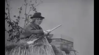 Vrouwtje Bezemsteel   1964 - 1967