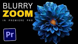 How to Add Blurry ZOOM in Premiere Pro 2023