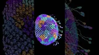 luke skywalker death star descent except into dm4 neurons  #unchartedterritory #nervecell #neuron