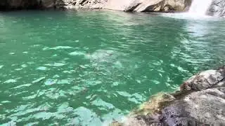 Rio Collores Juana Díaz Puerto Rico