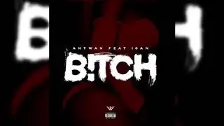 Ant Wan - Bitch