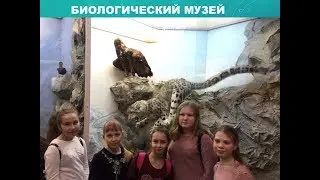 Отчет 5Р класса за 2017-18 год