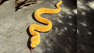 Realistic SNAKE 32'' crochet Video Tutorial / Friendy for beginners /  SNAKE crochet pattern ETSY
