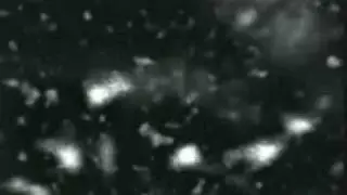 Coil Something (Live)
