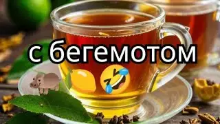 Выбираем самый вкусный чай с бергамотом
