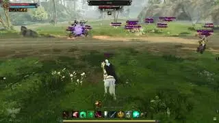Ashes of Creation PvP - Cleric 1v8+