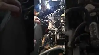 28 августа 2021 г.