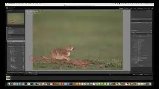 New Lightroom Updates May 22, 2024