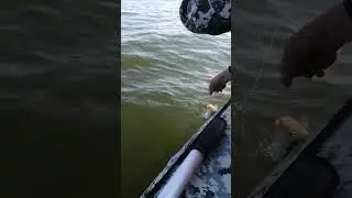 29 июня 2024 г.