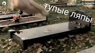 STUPID BOOBA YTP BLOOPERS PART 1