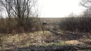 Болото.(2)