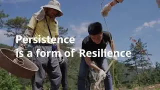 Persistence is a form of Resilience