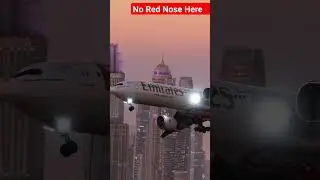 No Red Nose Here 