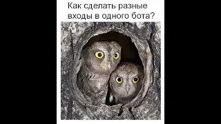 Как разделить воронки внутри одного телеграм бота в Сейле?
