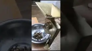 как мы чистим кедровый орех