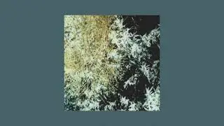 Shortwaved - Tide Over