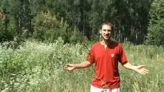 Redex подарил мне крылья!