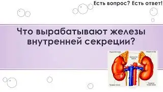 Что вырабатывают железы внутренней секреции? [292]