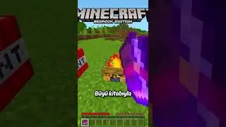Minecraft Java vs Bedrock 