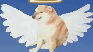 R.I.P CHEEMS 2011 - 2023