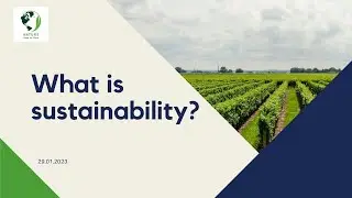 What is sustainability? | Sustainable Development | ESG