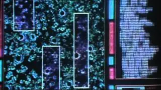 Onslaught Six - Dolphin (Music Video)