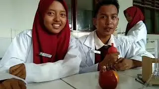Menyalakan Lampu menggunakan Apel dan Jeruk | Praktikum Kimia Sederhana Elektrolit dan Nonelektrolit