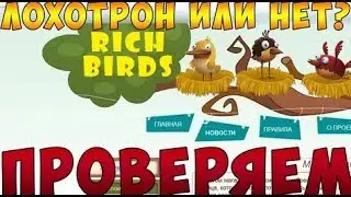 Как правильно зарабатывать на RichBirds