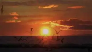♥ OMAR AKRAM  - Passage into midnight ♥