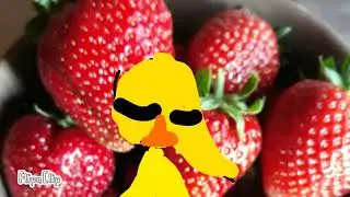 Няшка❤️