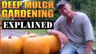 DEEP MULCH / BACK TO EDEN GARDENING EXPLAINED