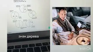 Деньги в карте БаЦзы 