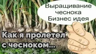 Меня предупреждали, но я не послушал... Вот чем закончилась история с заработком на чесноке!