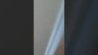 Гламурные девки